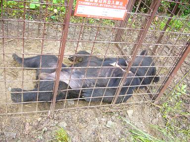 1b6d54dcc26efa869deab7c7b5d0e29e